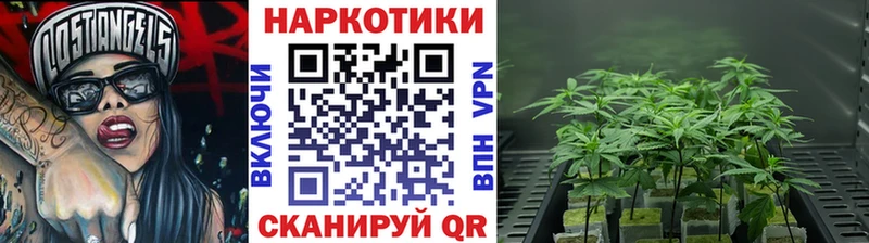 Купить наркотик аптеки Шуя Гашиш СК COCAIN АМФЕТАМИН Канабис Меф