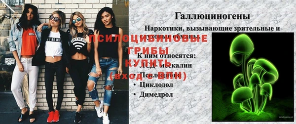 герыч Няндома