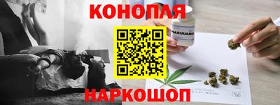 шишки Бийск