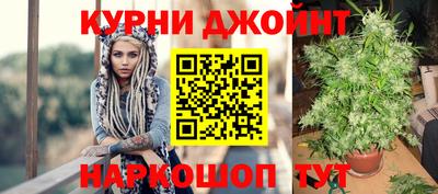прущие грибы Беслан