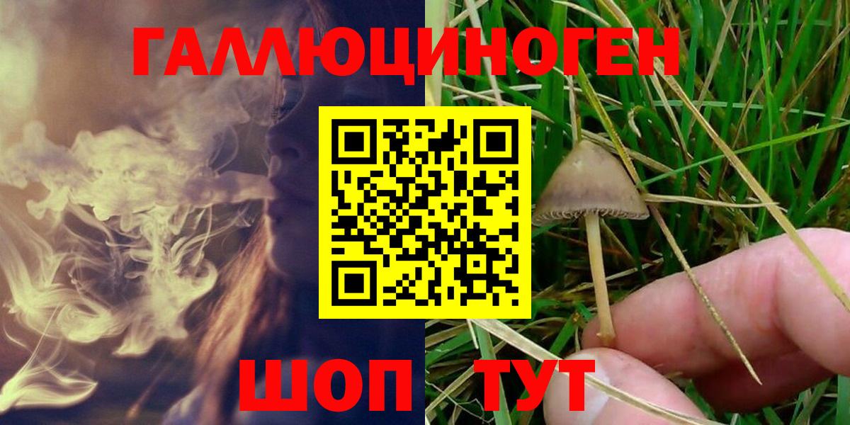 Псилоцибиновые грибы Psilocybe Шуя