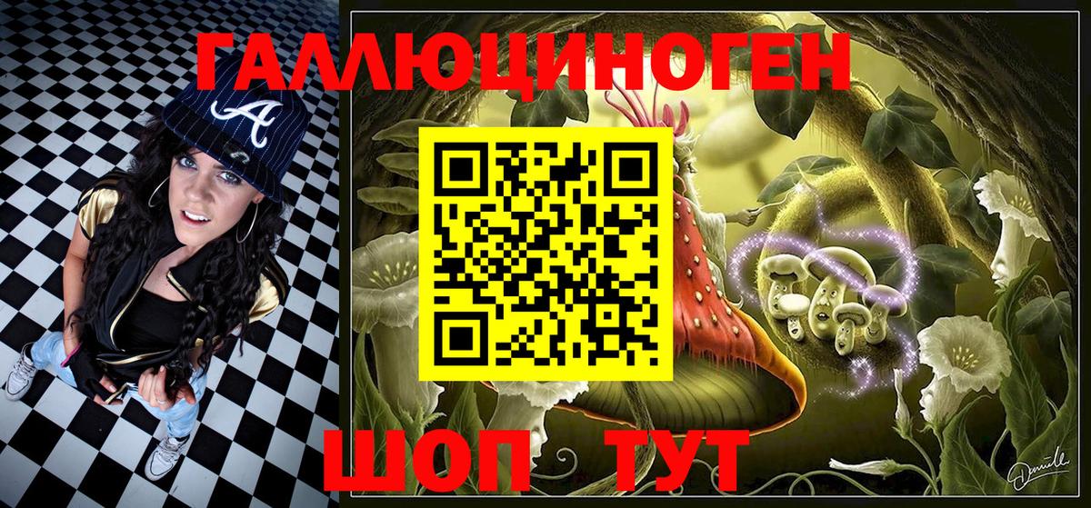 Галлюциногенные грибы Psilocybe  Вход с VPN  Шуя  Псилоцибиновые грибы MAGIC MUSHROOMS 
